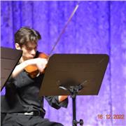 Clases de lenguaje musical, armonia, anàlisi y violín